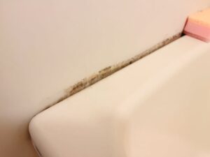 カビ汚れが気にある