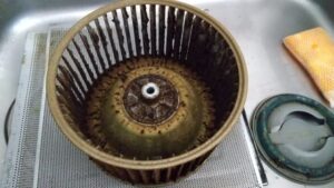 中まで綺麗にしたい