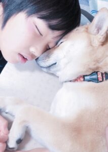 ペットを飼っている